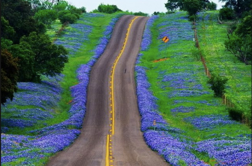 Screen-Shot-2014-03-24-at-6.15.35-AM