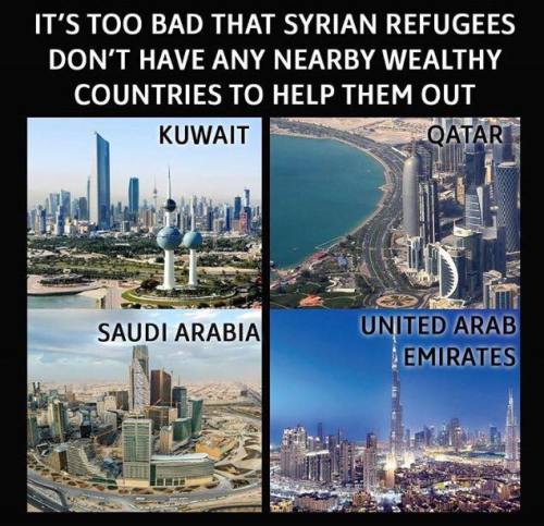 16406835_267403457014092_1254155834645389254_n